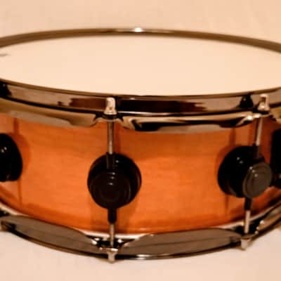 DW (c video) CUSTOM CINNAMON RAISIN LACQUER SNARE DRUM FREE SHIP TO C-USA! image 3