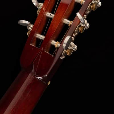 AAArazoza Single 0, All Mahogany image 15