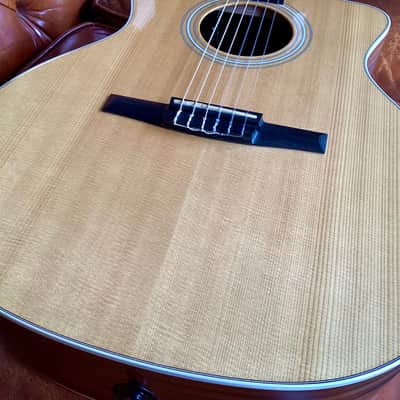 Taylor 214 CE-N with gig bag image 18