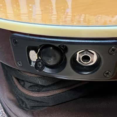 Line 6 Variax 700 Acoustic Guitar Natural w gigbag image 8