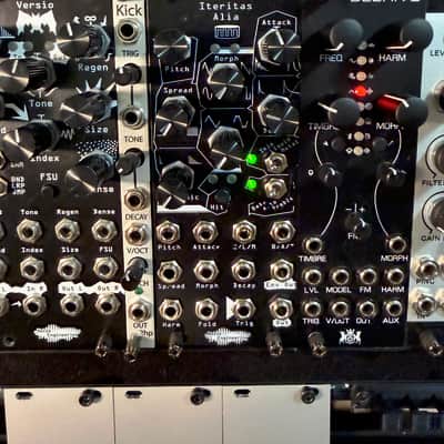 Noise Engineering Basimilus Iteritas Alia 2023 - Present - Black image 1
