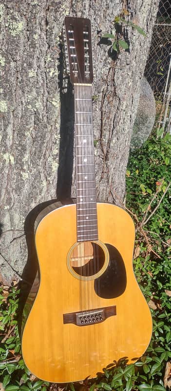 Martin D-12-20