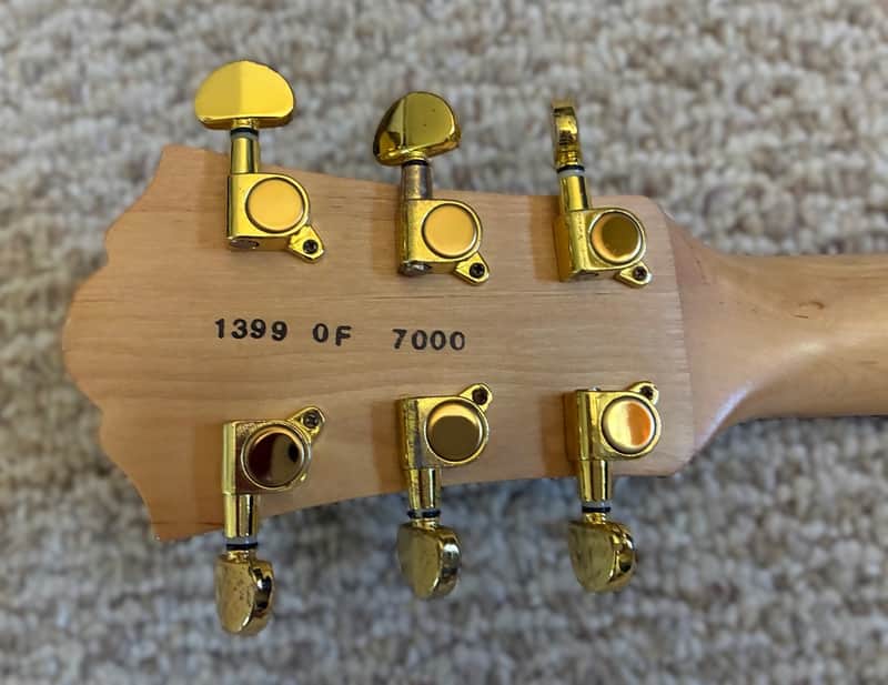 Lyon by Washburn LI15 Joe Trohman Limited Edition | Reverb