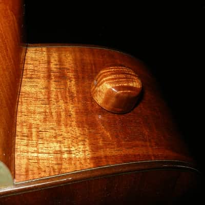 Custom Pegasus '12 String' Guitar - Ukulelefriend.com image 9