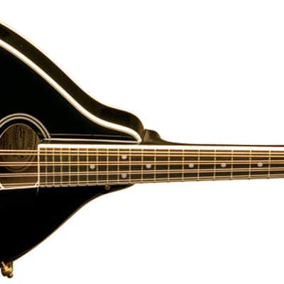 Washburn M1SDLB Bluegrass Series A-Style Mandolin. New with Full Warranty! image 2