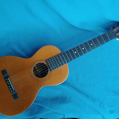 all original 1892 Washburn Parlor Adirondack Top Brazilian rosewood image 4