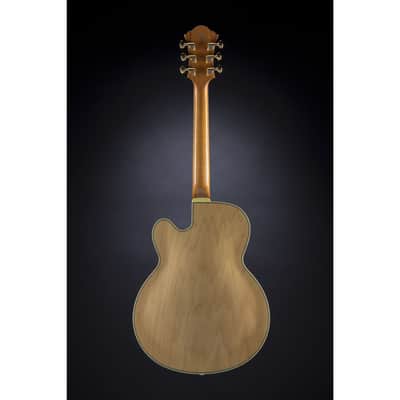Ibanez PM200 Pat Metheny Signature NT Natural - Semi Acoustic Custom Guitar image 3