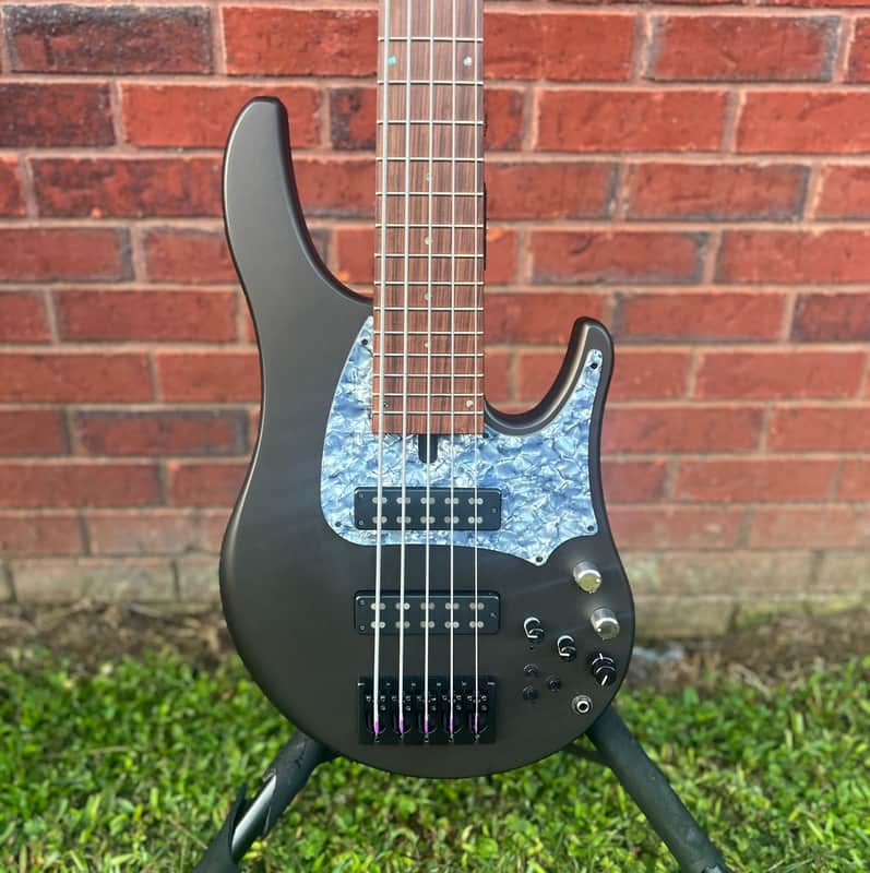 Swan Alpha Classic 5 String Bass image 1