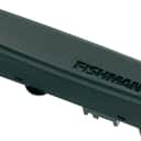 Fishman Rare Earth Humbucking Soundhole Pickup