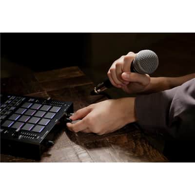 Korg KAOSS REPLAY image 8