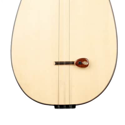 Lna BG-2 | Baglamas Pickup with Volume Control. New with Full Warranty! image 2