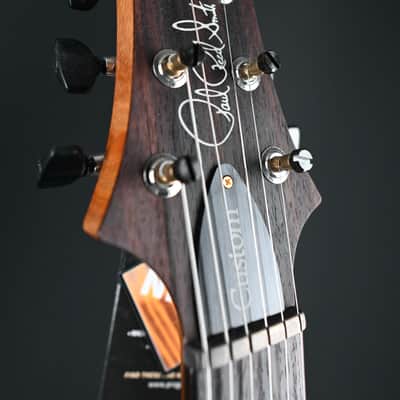 PRS Limited Edition Custom 24 10-Top Arctic Blue #211 image 10
