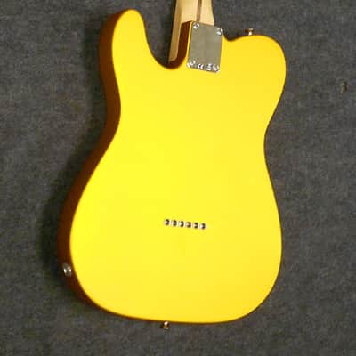 Fender Telecaster Signed by NASCAR Legend - All Proceeds Benefit the Fender Music Foundation image 5