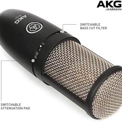 AKG Pro Audio P220 Vocal Condenser Mic+Shockmount+Case BEST OFFER SAVE OVER 20% image 4