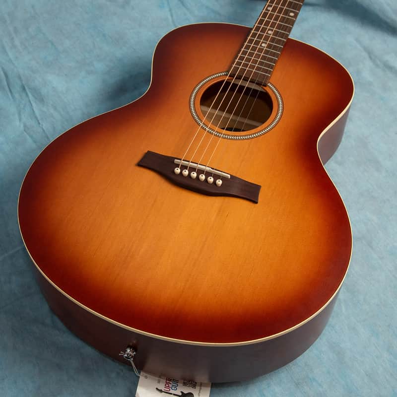 Seagull Entourage Rustic Mini Jumbo | Reverb
