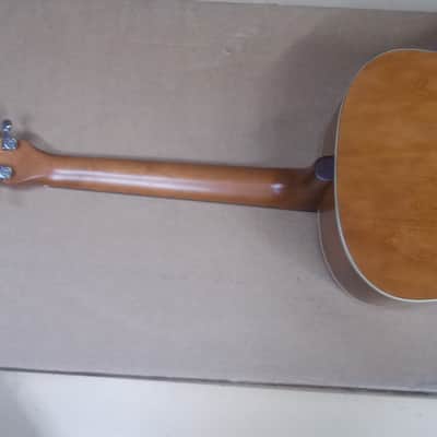 Seagull Entourage Rustic Dreadnought Acoustic Guitar Player!! image 13