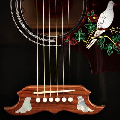 Gibson Ebony Dove Guitar image 6