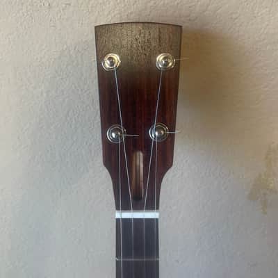 Short Scale Frailing Banjo image 6