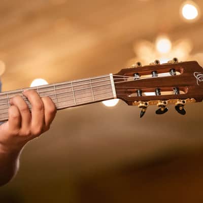 Ortega RCE158SN-TSB Performer Series Solid Spruce Top Mahogany Neck Cutaway Nylon 6-String Classical Acoustic-Electric Guitar w/Gig Bag image 23