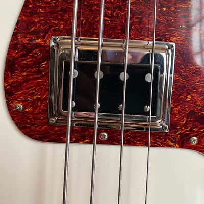 Lakland "Dudepit" Special Order P Bass w/ Darkstar pickup image 10