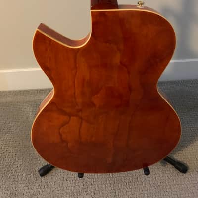 Cort Triggs TRG-1 Hollowbody image 4