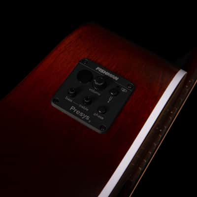 Seagull Model # 051922 Entourage Autumn Burst Presys II Dreadnought A/E NEW image 6