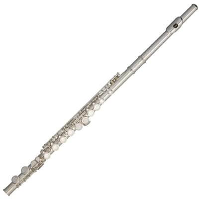 Stagg WS-FL111 C Flute Closed Holes Offset G Split E w/Soft Case, Cleaning Swab, Cloth & Gloves image 2