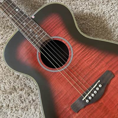 Daisy Rock Daisy Rock Red Burst Acoustic Guitar, Tiger Maple Top, Mahogany Neck, Rosewood Fingerboard - Red image 3