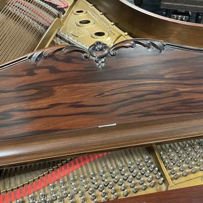 Steinway Model B 6'11" Grand Piano 1888 (Restored) - Satin Brazilian Rosewood image 12