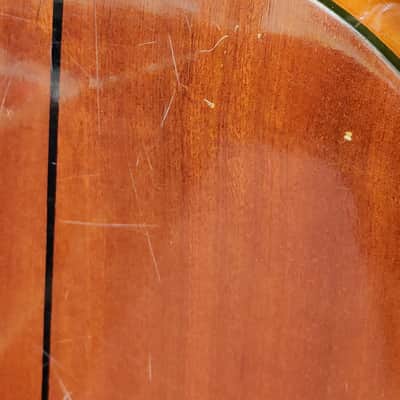 Enrique Tapicas C40 Cadiz Classical Guitar by Washburn - Natural image 13