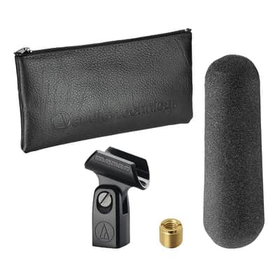 Liquid Audio Audio Technica AT875R Line + Gradient Condenser Microphone Bundle w/Pig Hog PHM10 8mm Mic Cable Polishing Cloth image 5