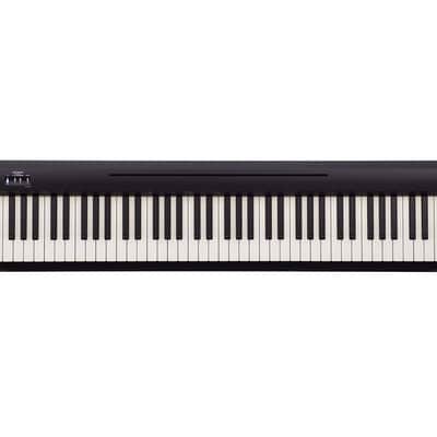 FP-10 88-Key Digital Piano