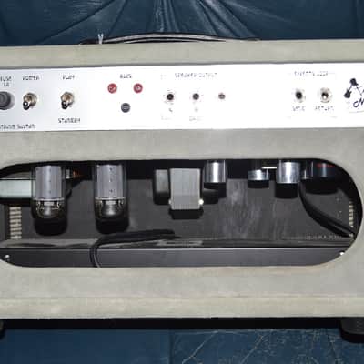 Amplified Nation Steel String Sultan 50 Watt - Gray Suade image 2