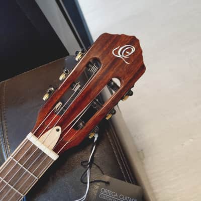 Ortega  Tourplayer 2024 image 5