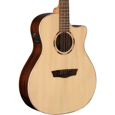 Washburn WLO2SCE Woodline 20 Series Acoustic-Electric Guitar image 2