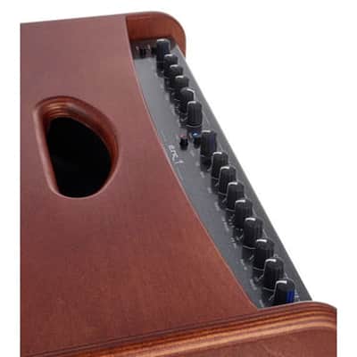 Hughes & Kettner ERA 1 | 250W, 1x8" Acoustic Combo, Wood Finish. New! image 10