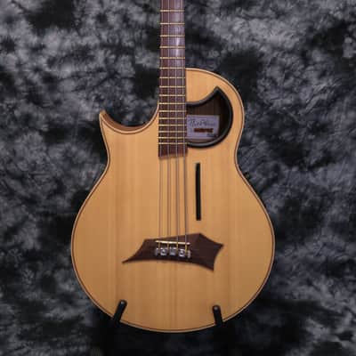 Warwick Alien Acoustic Bass Left Handed image 3