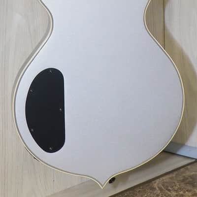 Wylde Audio Odin Silver Bullseye Finish - W/Setup & Case image 4