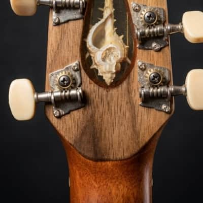 7 String Acoustic Electric Guitar Luthier Kalenichenko B. K.- model Ocean spirit image 4