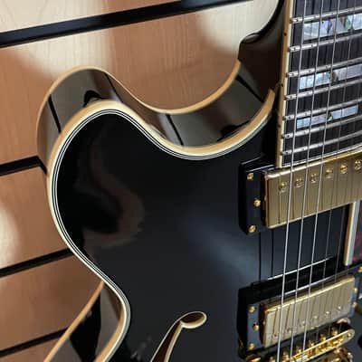D'Angelico Excel DC Stopbar Tailpiece Solid Black Semi-Hollow Electric Guitar Case Made in South-Korea image 6
