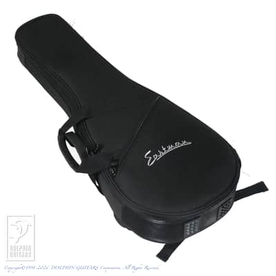 Eastman MD-314 image 9