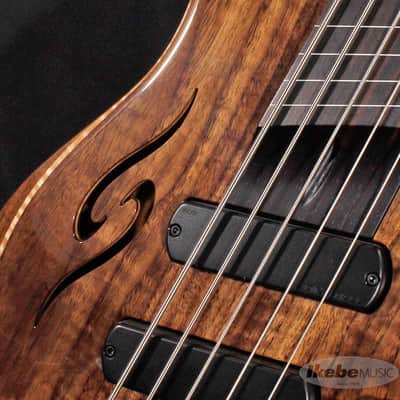 DINGWALL AfterBurner II 5st Fretless -Claro Walnut Top/Walnut Back/Wenge Neck- (Special Price) image 4