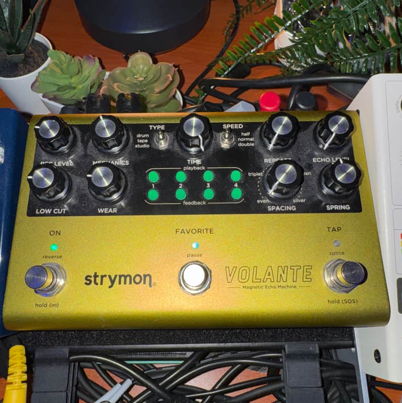 Strymon Volante Magnetic Echo Machine | Reverb Canada