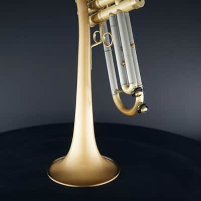 Carol Brass CTR-5280L-GLT(Euro-D)-Bb-SL Baro Model Trumpet image 3