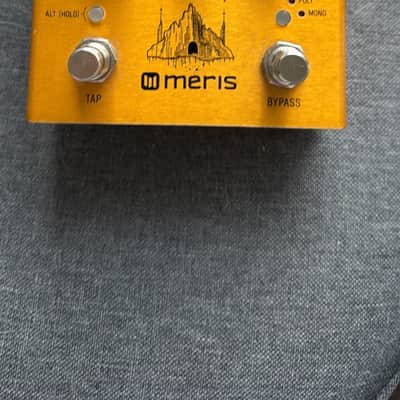 Meris Enzo 2018 - Gold image 1