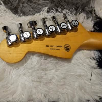 Fender Player Plus HSS with Gator Case, strap locks, and D'Addario strap image 3