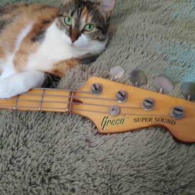Cat sells Killer Bass :-) Greco Precision Bass 1980 Sunburst PB600S model \m/ image 6