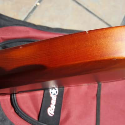 Brice 8 String (octaves) Fretless Bass image 5