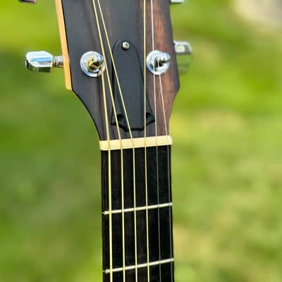 Taylor 114e Walnut with Maple Neck 2019 - Present - Natural image 4