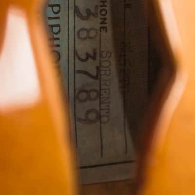 Epiphone E-452TD Sorrento Thinline Hollow Body Electric Guitar (1966), ser. #383789, Reunion Blues gig bag case. image 12